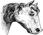 Printable Horse Profile coloring pages