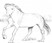 Printable horse spanish mustang coloring pages