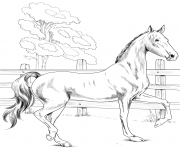 Printable horse american saddlebred coloring pages