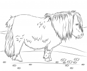 Printable cute shetland pony coloring pages