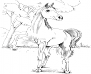 Printable horse egyptian arabian coloring pages