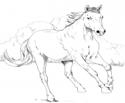 horse mustang mare coloring pages