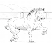 Printable horse welsh cob coloring pages