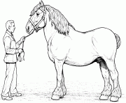 Printable clydesdale horse coloring pages