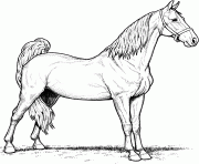Printable mare horse coloring pages