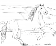 Printable andalusian horse coloring pages