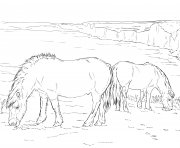 Printable horse ponies coloring pages