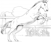 Printable horse anglo arabian coloring pages