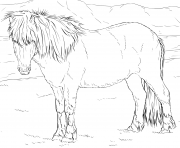 Printable icelandic horse coloring pages