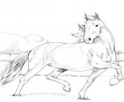 Printable hackney horse coloring pages