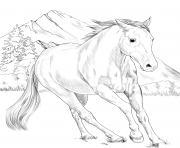Printable horse american paint coloring pages