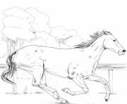 Printable horse thoroughbred coloring pages