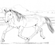 Printable horse dutch warmblood coloring pages