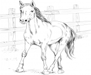 Printable horse kiger mustang coloring pages