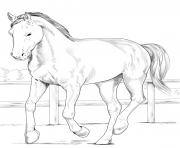 Printable horse westphalian coloring pages
