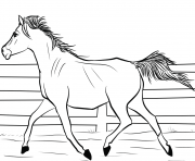 Printable arab horse coloring pages