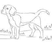 Printable realistic dog coloring pages