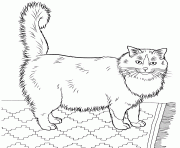 Printable realistic furry cat coloring pages