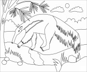 Printable anteater animal simple coloring pages