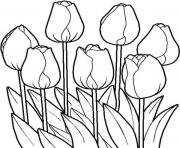 Printable tulips flowers real coloring pages