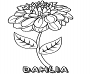 Printable dahlia flower coloring pages