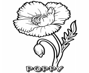 Printable poppy flower coloring pages