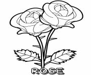 Printable rose two flowers coloring pages