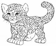 Printable Baby Cheetah Leopard Panther coloring pages