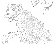 Printable cute leopard panther coloring pages