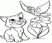 Printable cat and bird for teens coloring pages