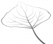 Printable lombardy poplar leaf coloring pages