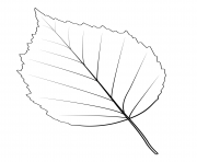 Printable paper birch leaf coloring pages