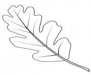 Printable valley oak leaf coloring pages
