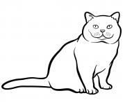 Printable british shorthair cat coloring pages