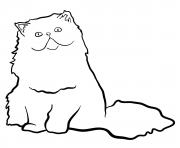 persian cat coloring pages