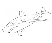 Printable tiger sharks coloring pages