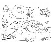 Printable adorable animal of sea turtle coloring pages