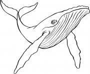 Printable humpback whale coloring pages