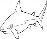 Printable Simple Bull Shark coloring pages