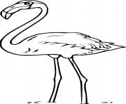 Printable Flamingo Standing in the Water coloring pages