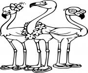 Printable Three Cartoon Flamingos coloring pages