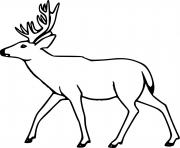 Printable Simple Walking Deer coloring pages