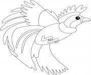 Printable Bird of paradise coloring pages