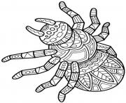 Printable spider halloween adult coloring pages