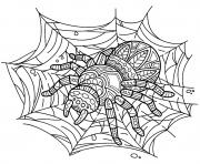 Printable spider on web coloring pages