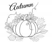 Printable autumn background with pumpkin leaves coloring book vector coloring pages
