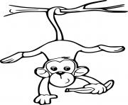 Printable Monkey Holds a Banana Swinging coloring pages