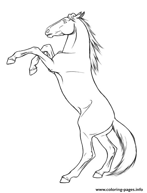 Rearing Horse S8dcc Coloring Pages Printable