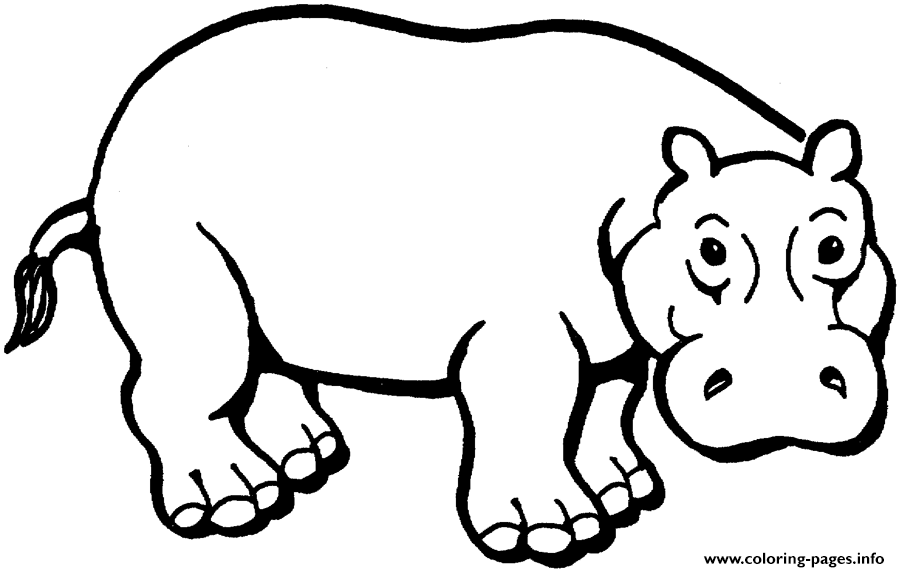 African Animal S Hippopotamus9619 Coloring Page Printable
