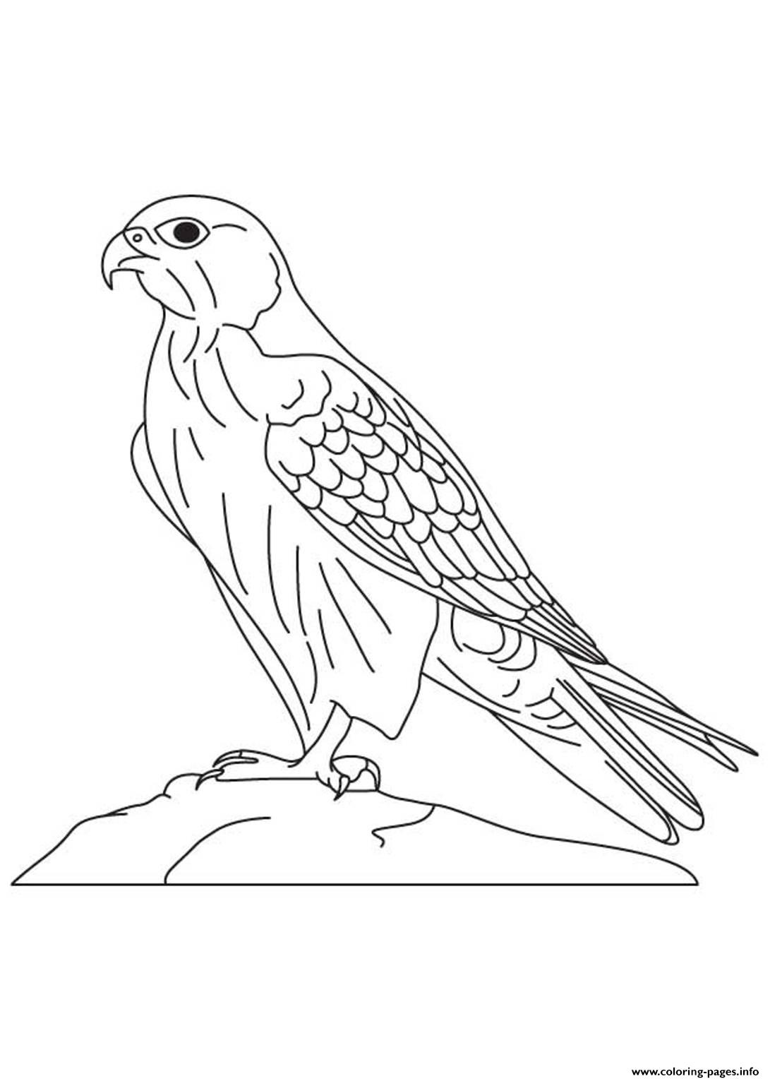 Animal Falcon Bird S27dc coloring